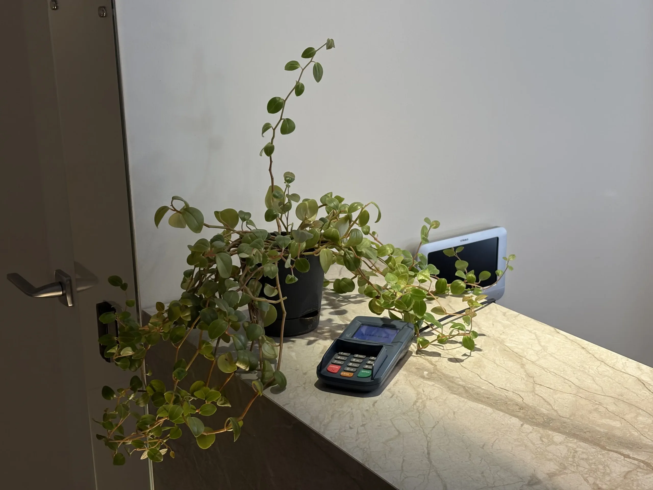 Нотариус Стрельченко Д.А. Нотариус Стрельченко Д.А.